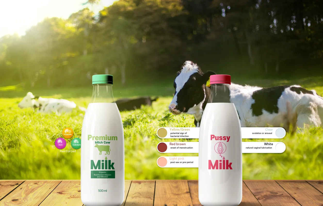 Photo wallpaper milk, cow, bottle