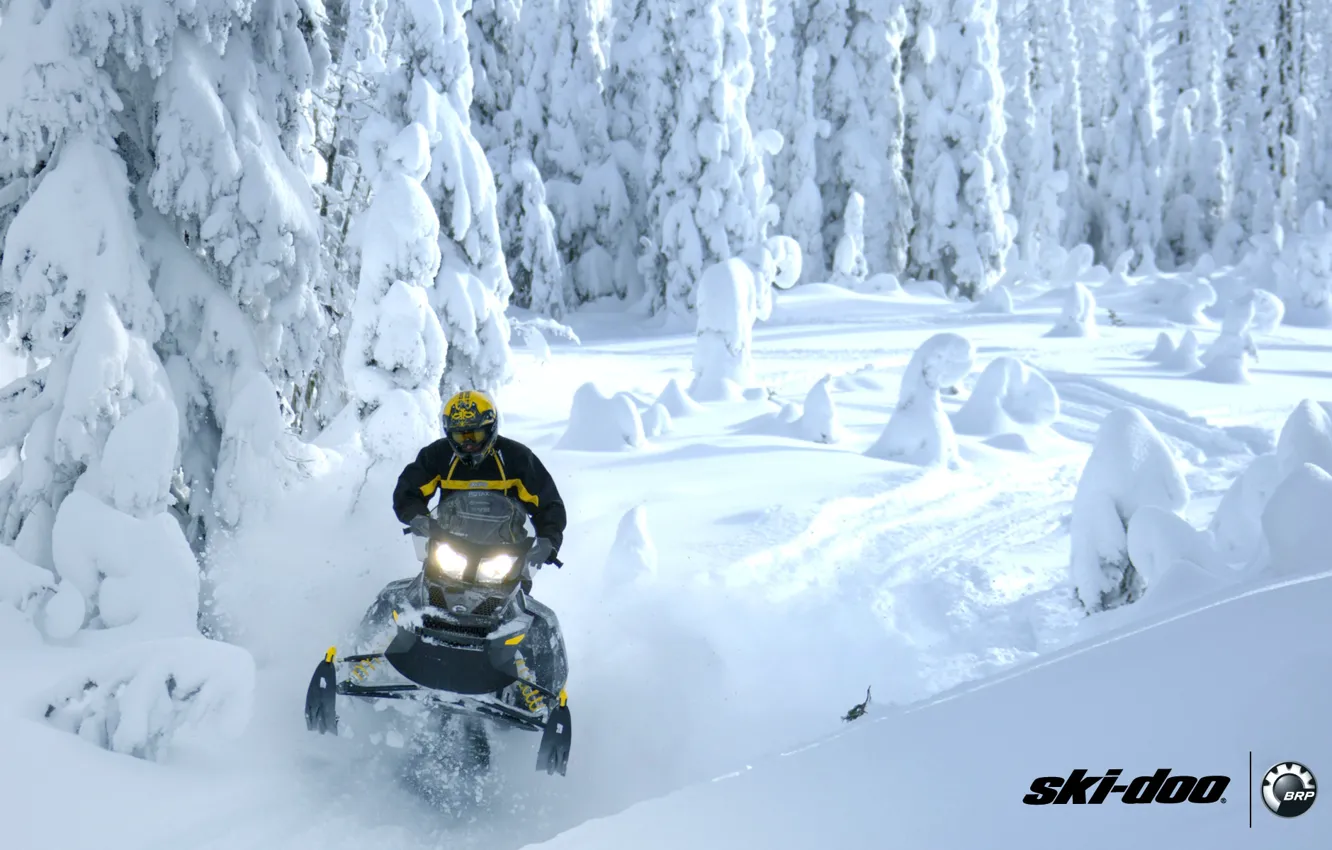 Photo wallpaper forest, snow, sport, sport, snow, snowmobile, snowmobile, ski-doo