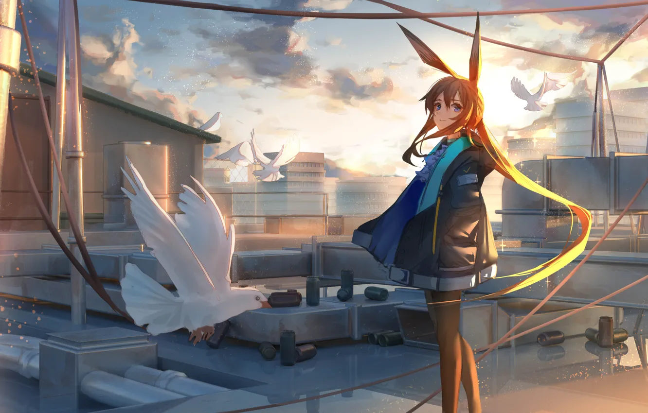 Photo wallpaper roof, the sky, girl, bird, ears, Arknights, Amiya