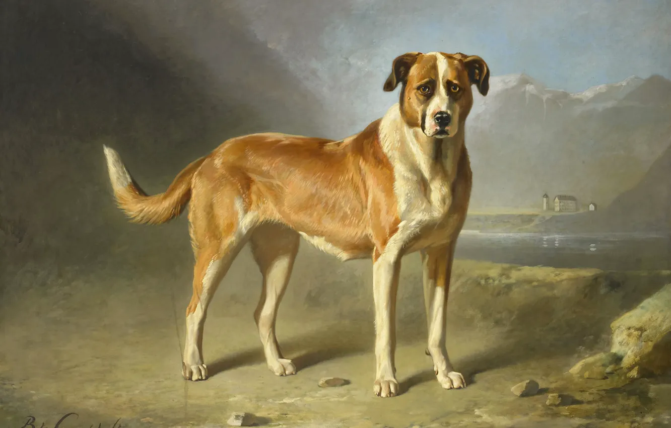 Photo wallpaper animal, oil, dog, picture, St. Bernard, Bernard Gent