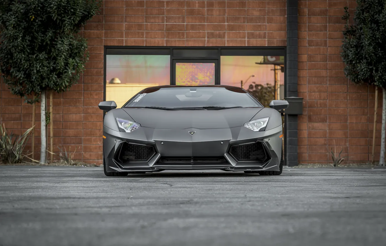 Photo wallpaper Lamborghini, Front, Aventador, Face, LP 700-4, VAG, Graphite