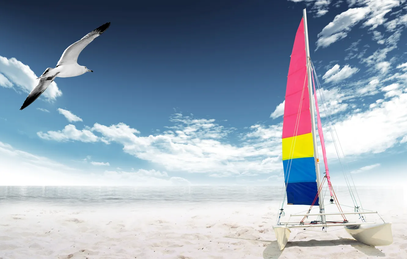 Photo wallpaper sand, sea, beach, shore, Seagull, yacht
