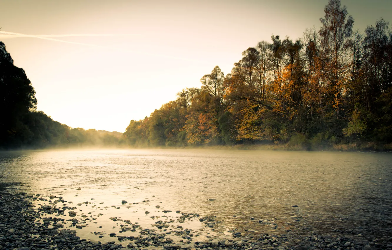 Photo wallpaper autumn, forest, fog, river, morning