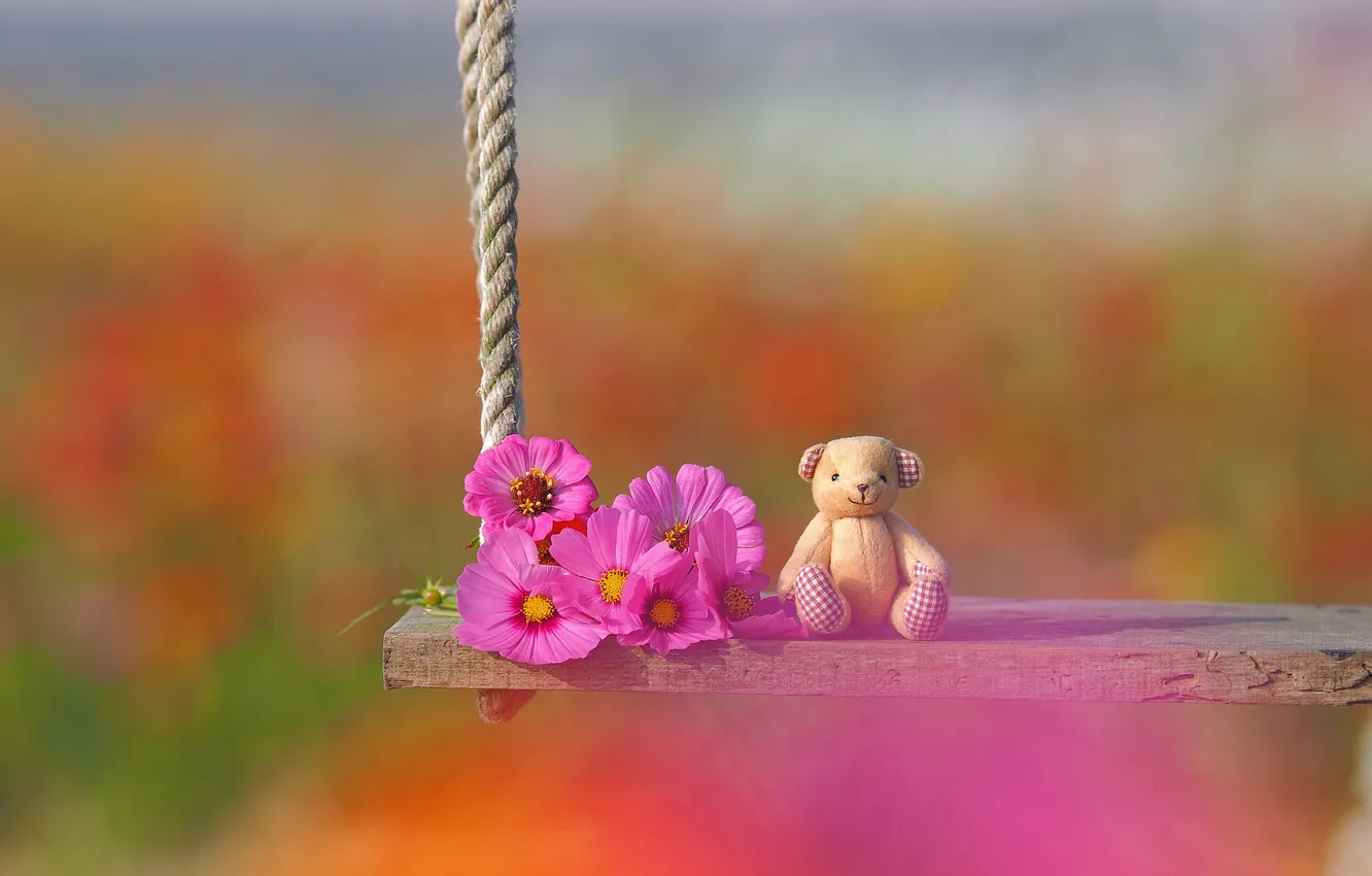 Photo wallpaper flowers, swing, mood, toy, bear, bokeh, kosmeya, Teddy bear