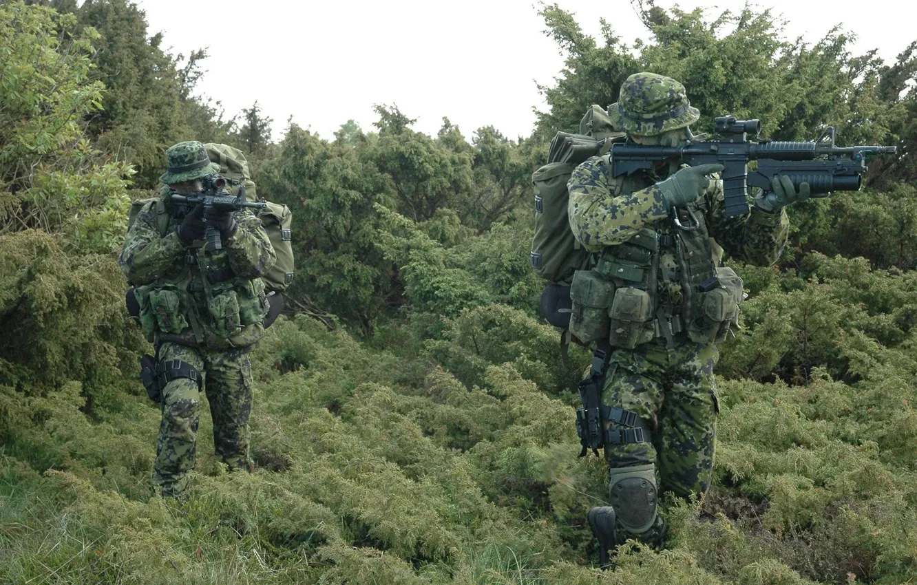 Photo wallpaper forest, grass, weapons, soldiers, unit, Denmark, special