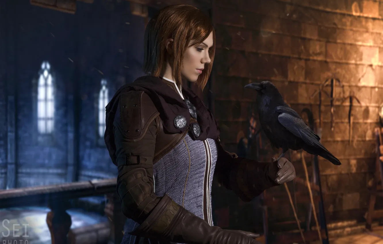 Photo wallpaper style, castle, bird, costume, image, Raven, character, Dragon Age