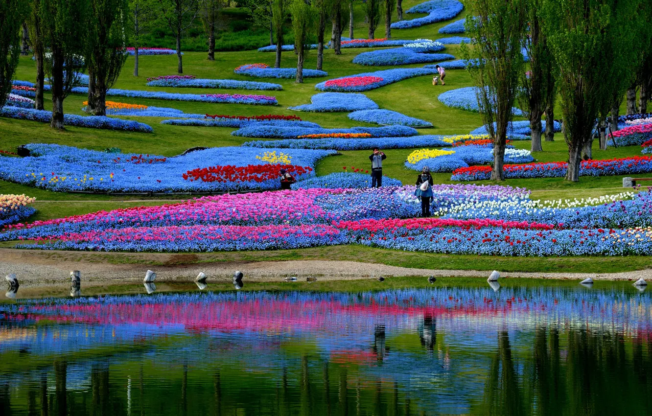 Photo wallpaper flowers, pond, Park, Japan, flowerbed