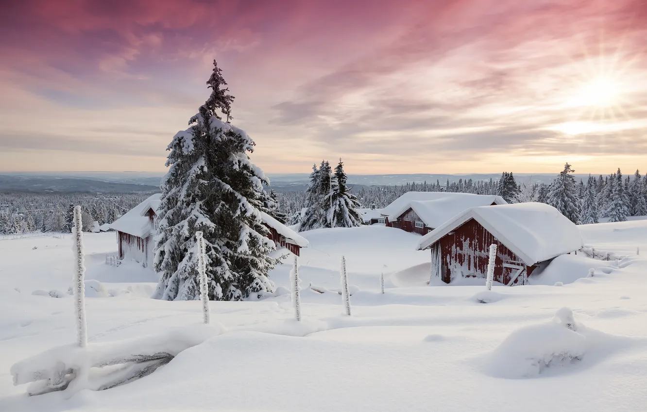 Photo wallpaper winter, the sky, snow, trees, home