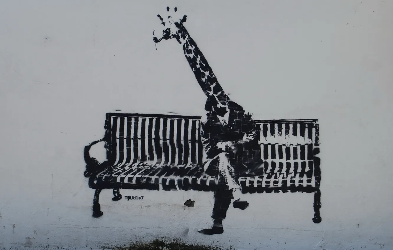 Photo wallpaper bench, wall, graffiti, people, giraffe
