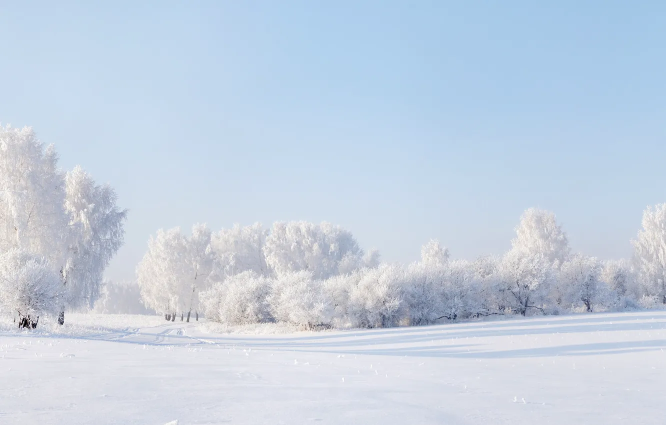 Photo wallpaper winter, the sky, snow, trees, Panorama