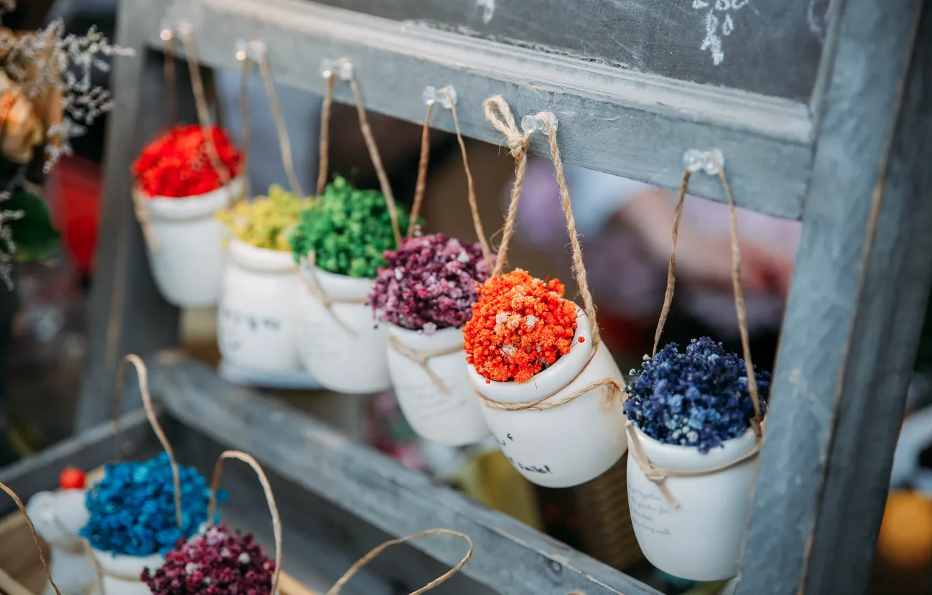 Photo wallpaper flowers, Wallpaper, pot, decorative composition