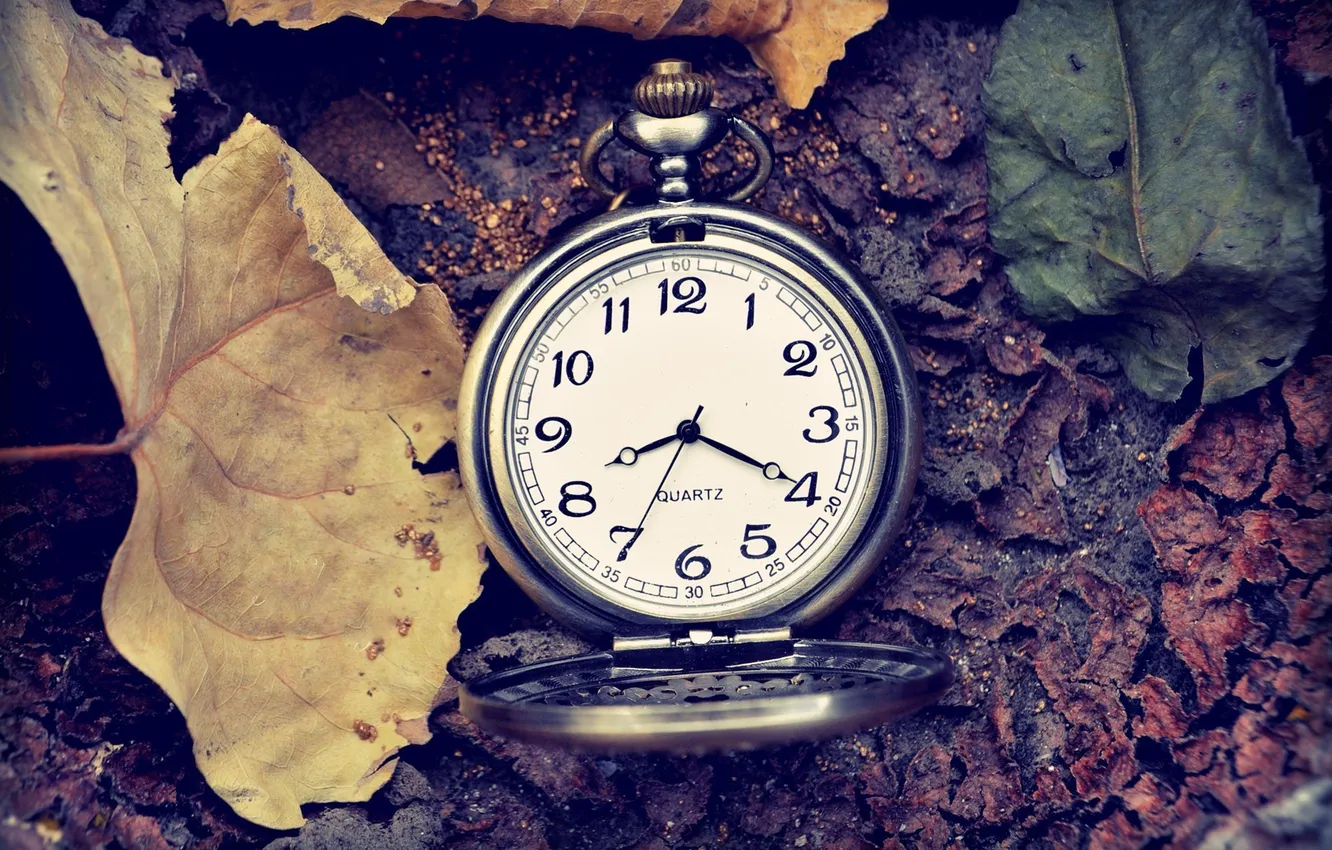 Photo wallpaper leaves, time, arrows, watch, figures