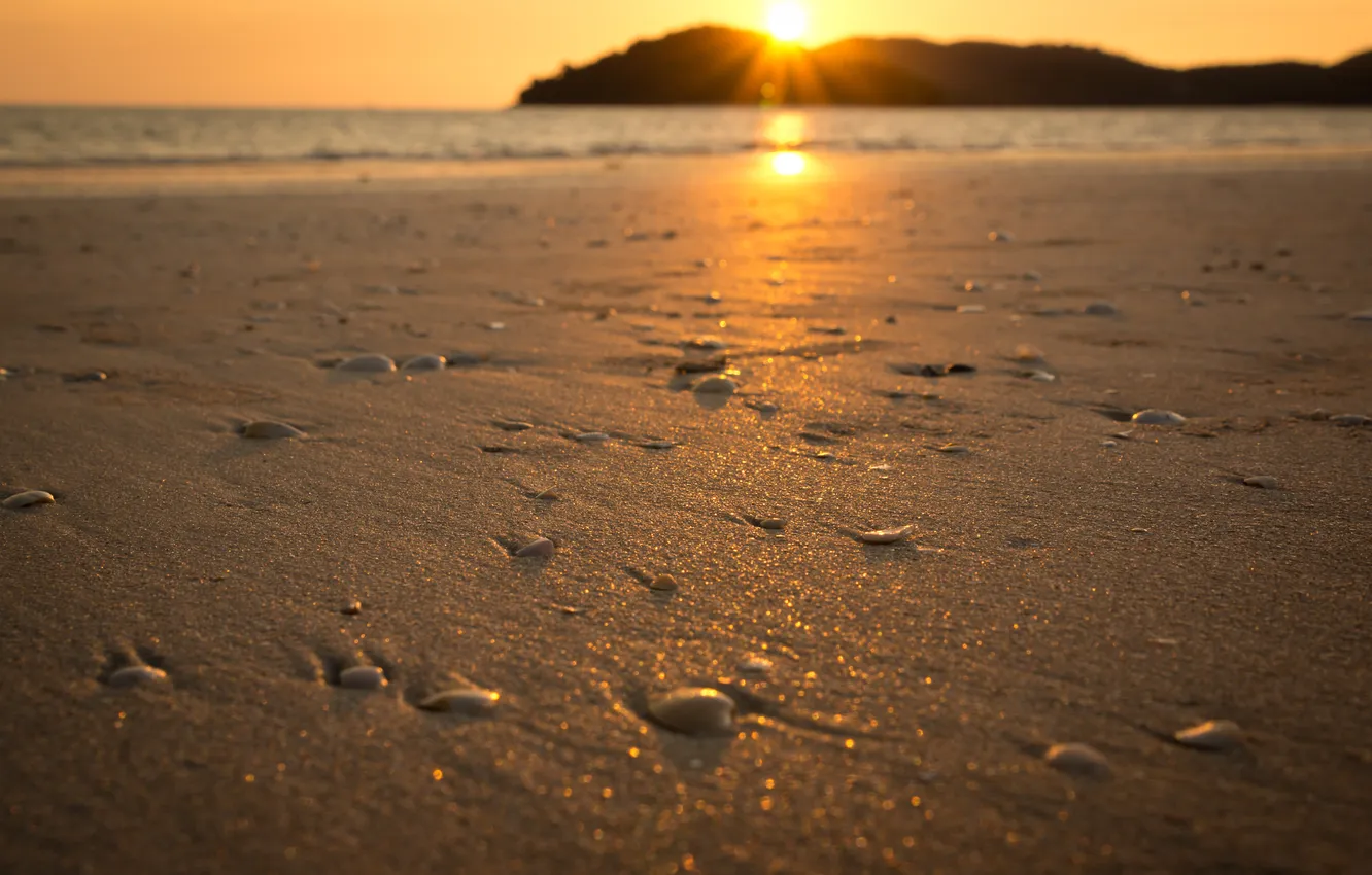 Photo wallpaper sand, sea, The sun