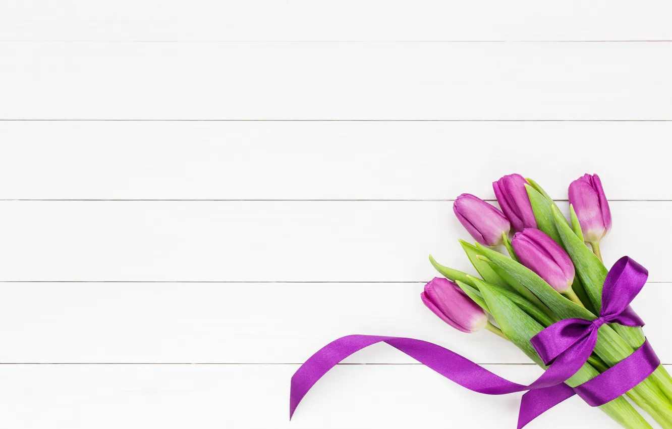 Photo wallpaper bouquet, tape, tulips, pink, white, with, tulips, bow