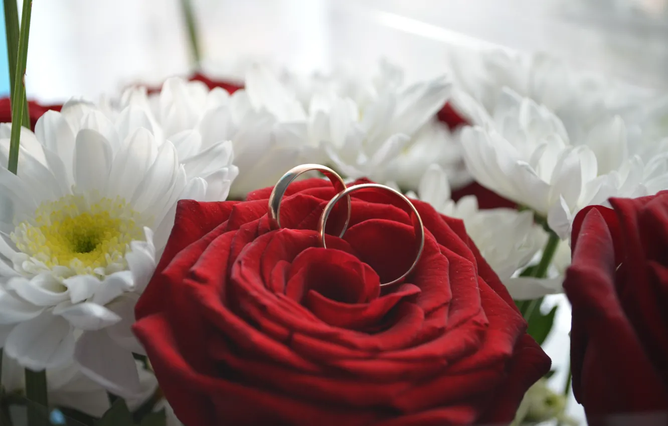 Photo wallpaper flowers, ring, wedding