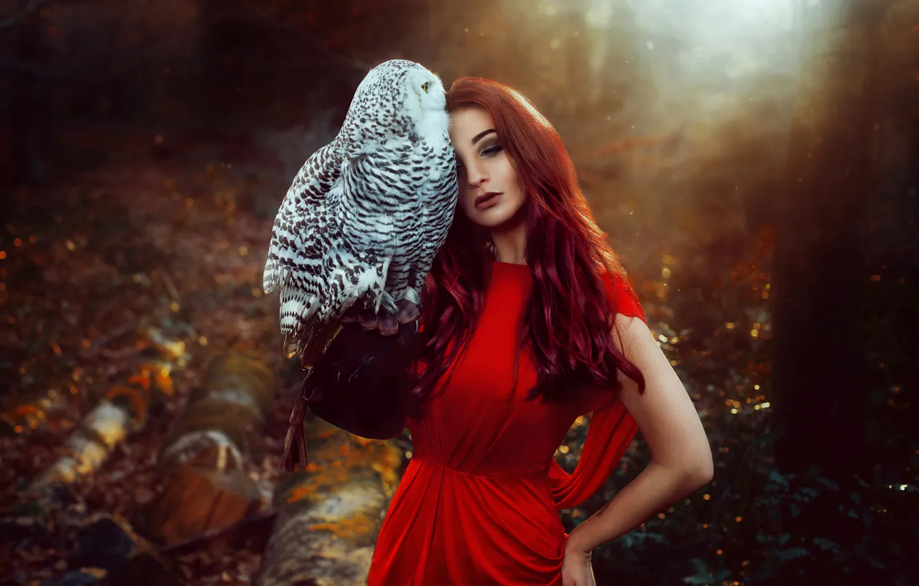 Photo wallpaper forest, look, girl, light, nature, face, pose, fog