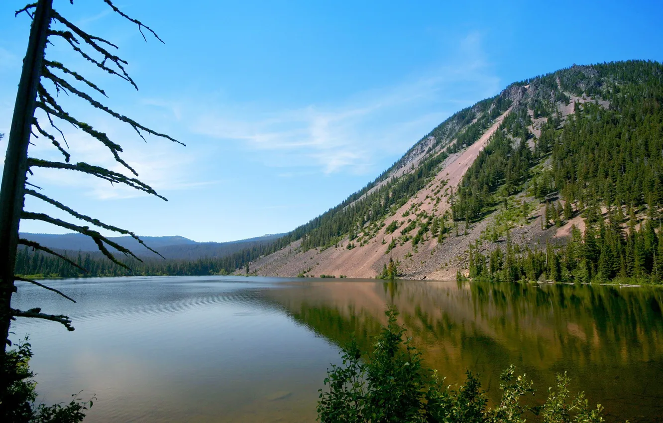 Photo wallpaper sea, beach, water, trees, mountains, shore, slope, beach