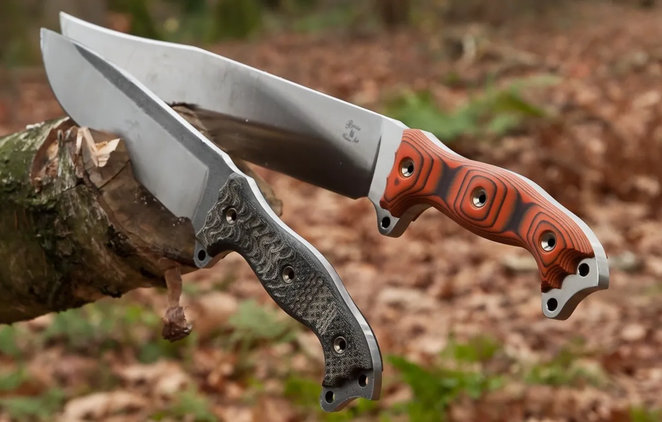 Photo wallpaper trees, steel, knife, cold, blade, metal knives