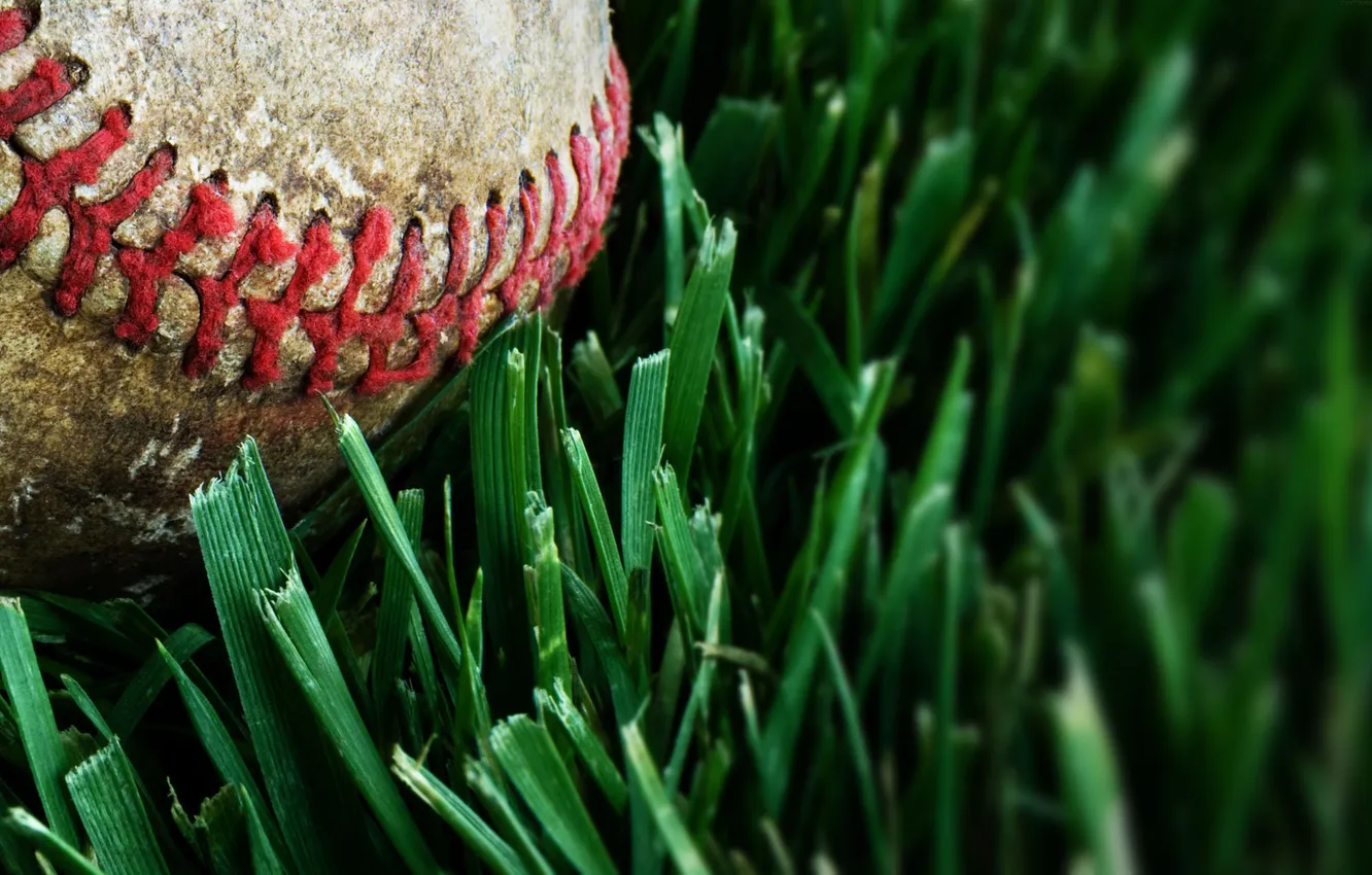 Photo wallpaper grass, lawn, baseball