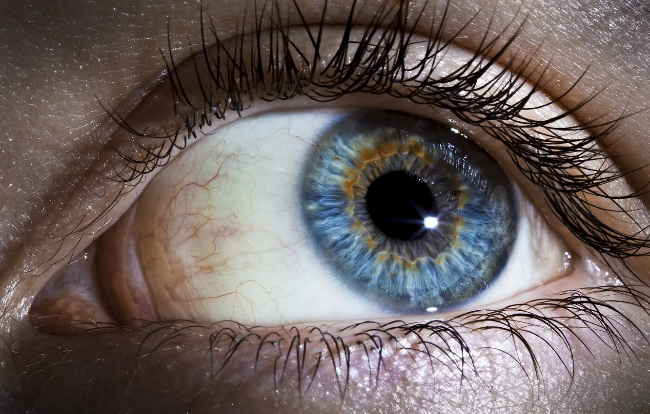 Photo wallpaper eyes, macro, background