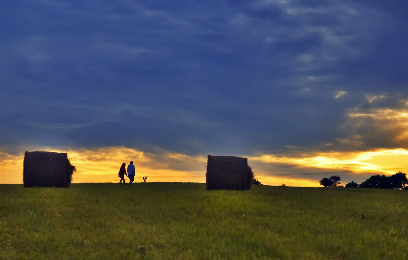 Photo wallpaper field, sunset, walk, rolls