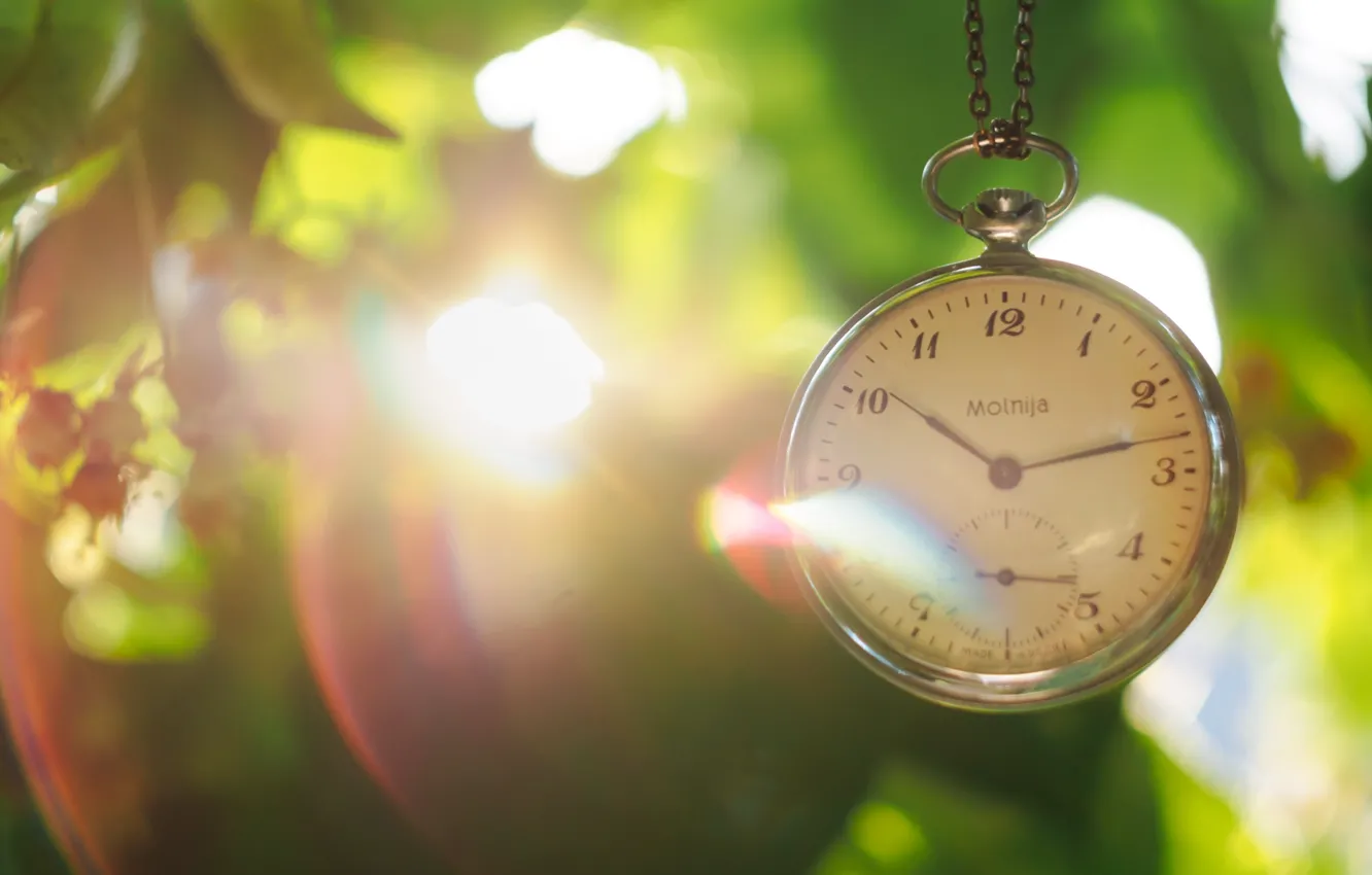 Photo wallpaper leaves, the sun, watch, dial, chain