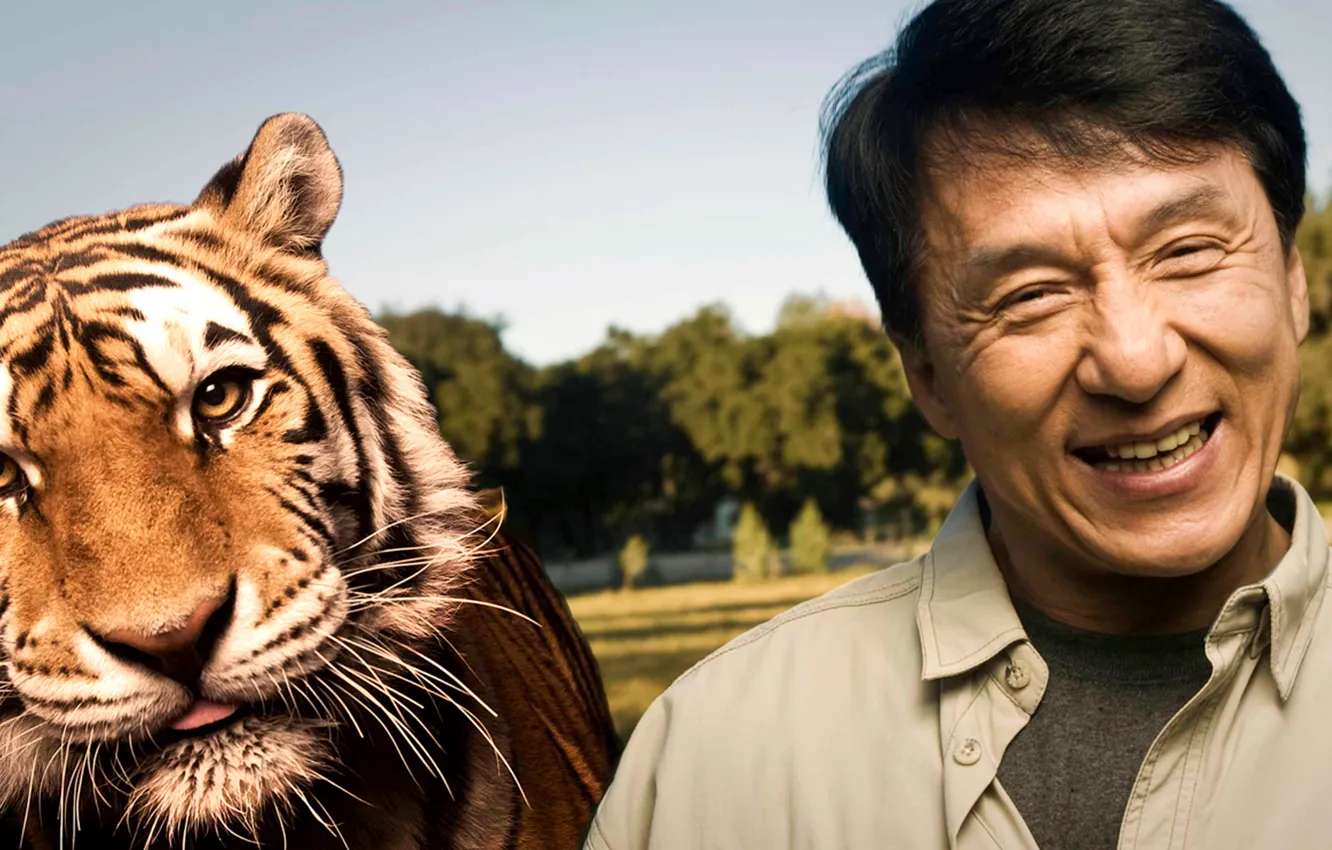 Photo wallpaper joy, tiger, smile, predator, actor, celebrity, Director, Jackie Chan