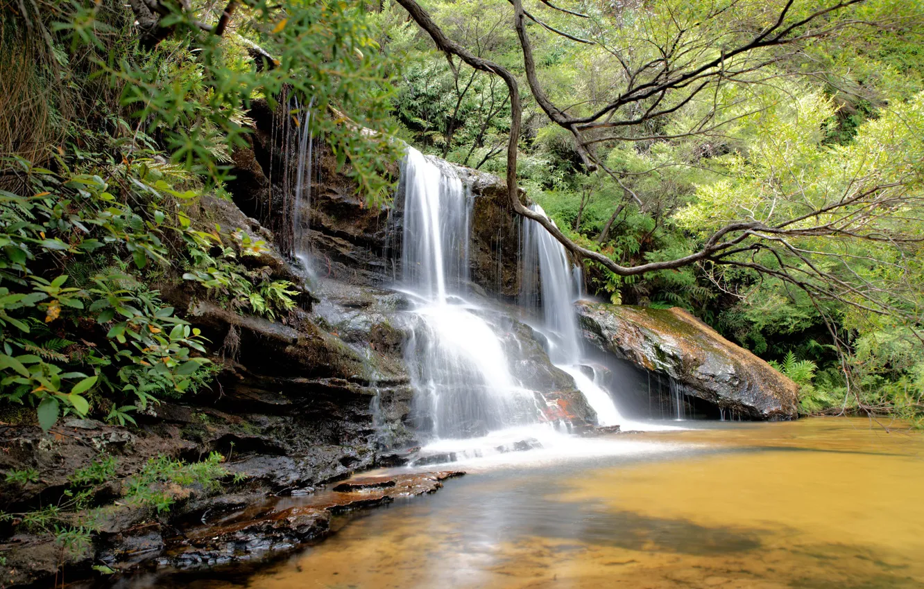 Photo wallpaper forest, landscape, nature, waterfall