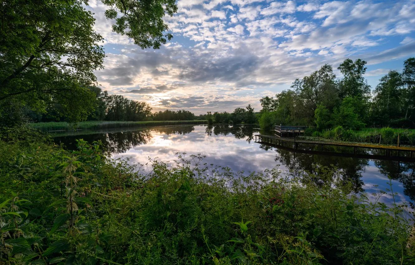 Photo wallpaper summer, clouds, trees, river