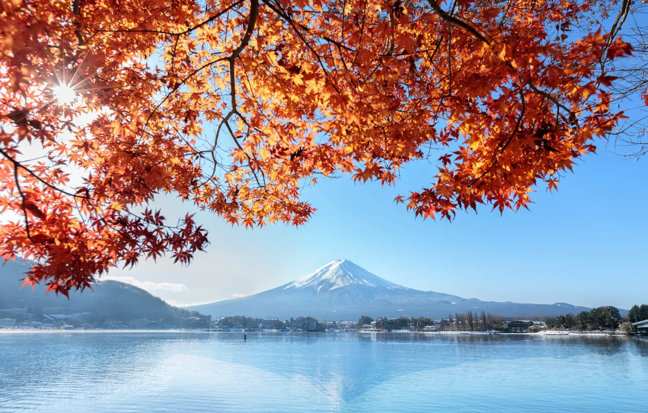 Photo wallpaper autumn, the sky, leaves, colorful, Japan, Japan, red, maple