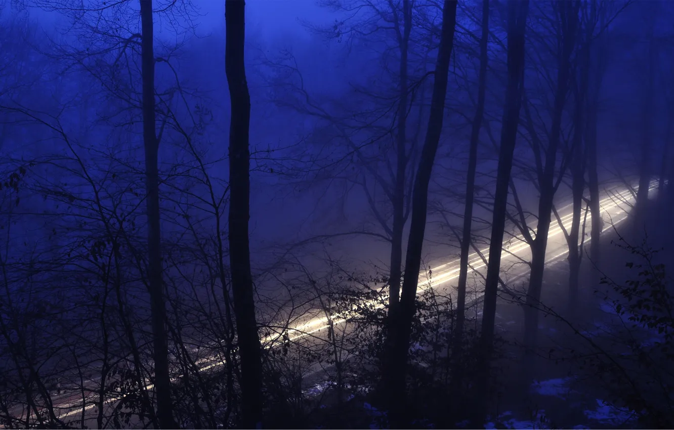 Photo wallpaper road, forest, light, trees, night, nature