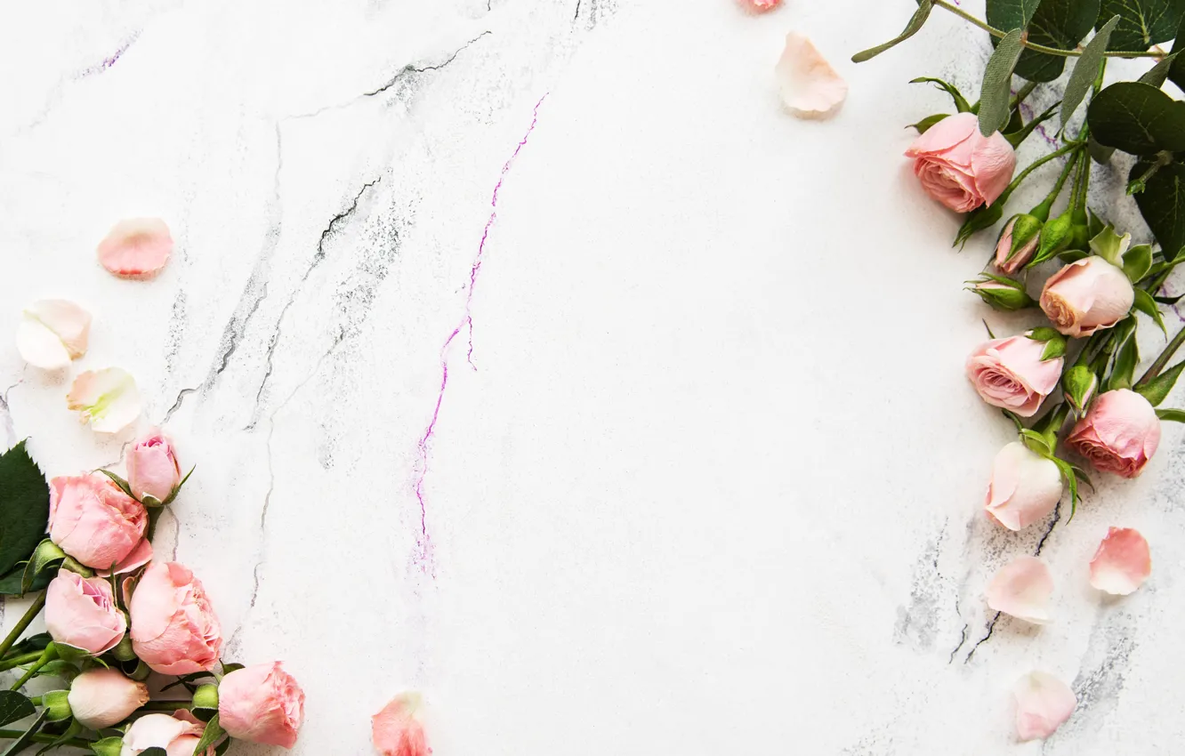 Photo wallpaper roses, petals, pink, bouquets, Olena Rudo
