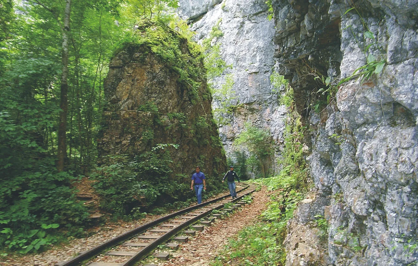 Photo wallpaper Gorge, The Caucasus, Narrow-gauge railway