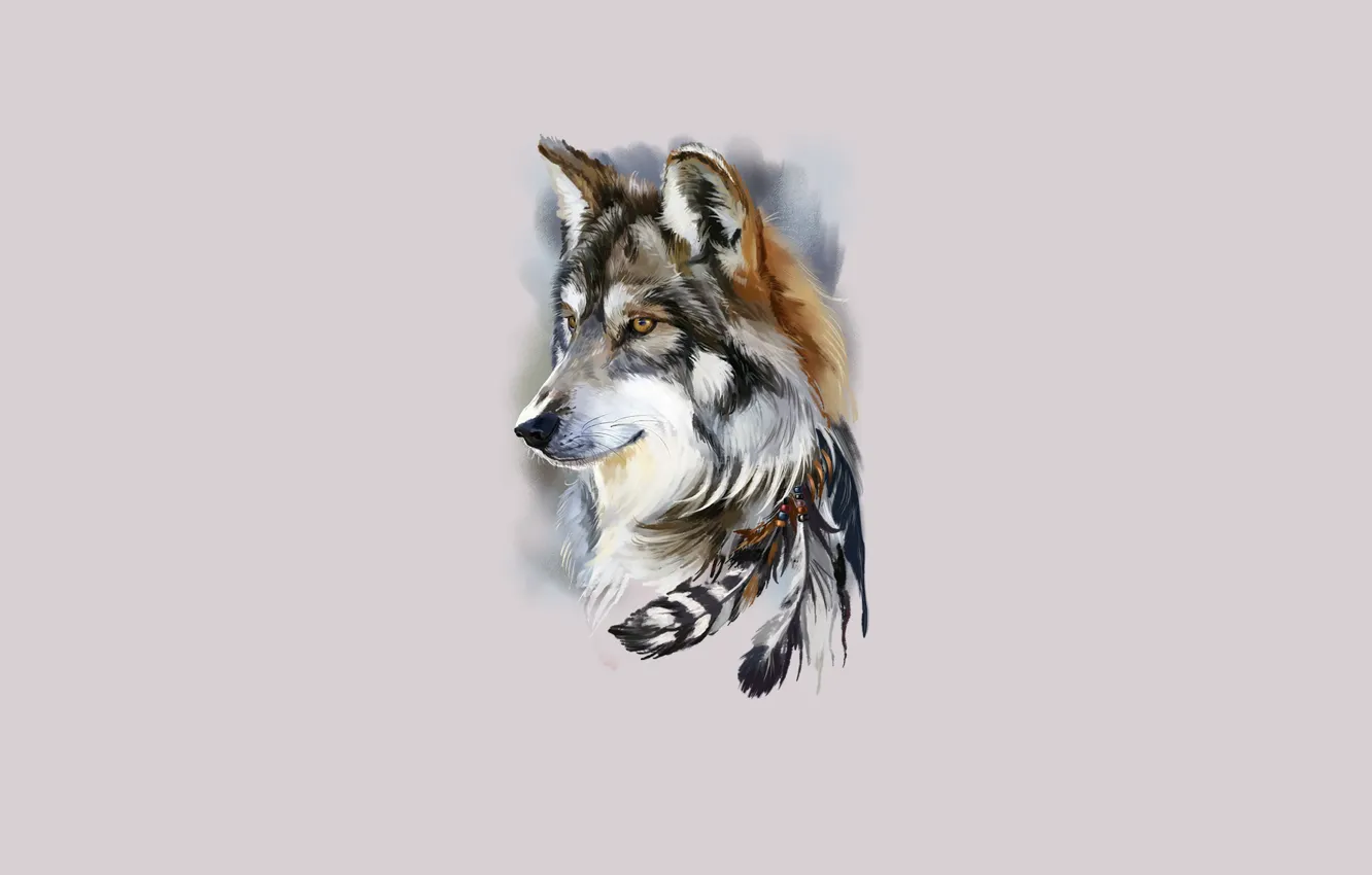 Photo wallpaper face, wolf, feathers