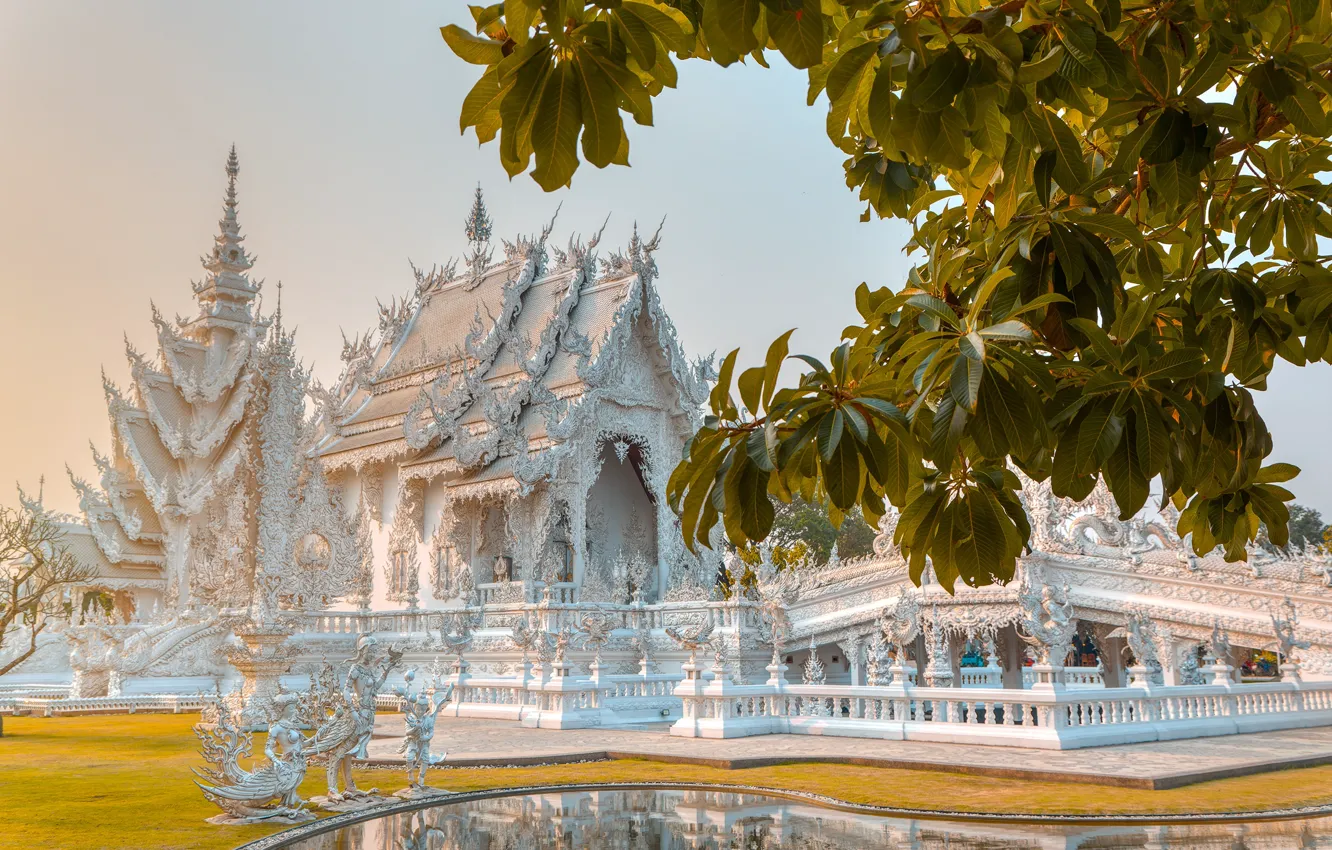 Photo wallpaper leaves, branches, pond, Thailand, temple, Thailand, architecture, White Temple