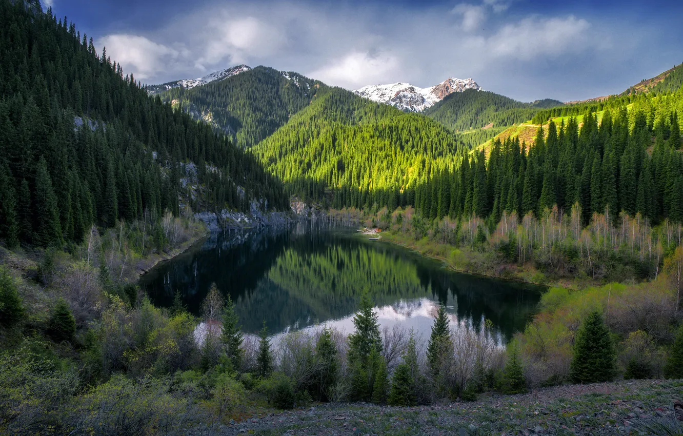 Photo wallpaper trees, mountains, the reflection in the water, mountain lake, the beauty of nature, Alexey Kretov