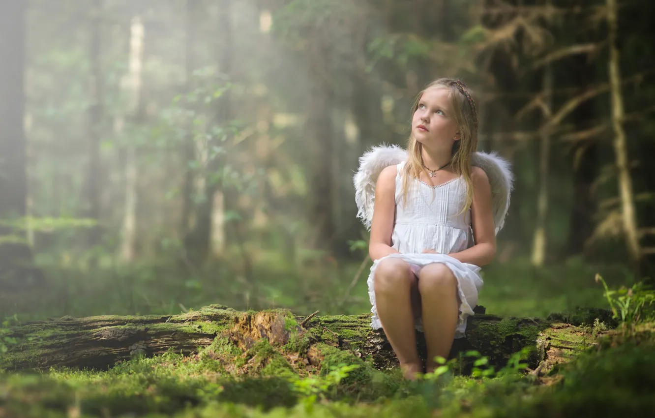 Photo wallpaper forest, wings, angel, girl