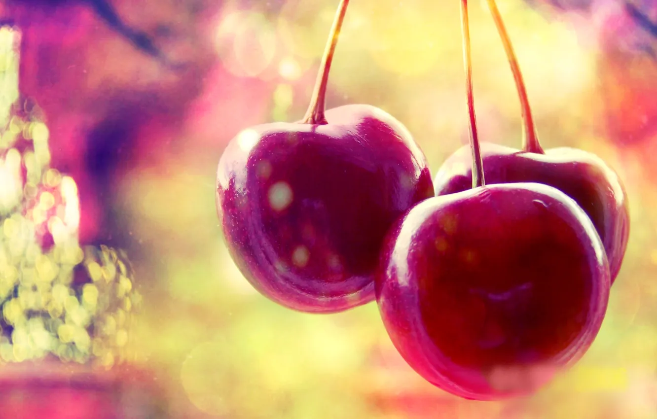 Photo wallpaper cherry, berries, cherry, cherry