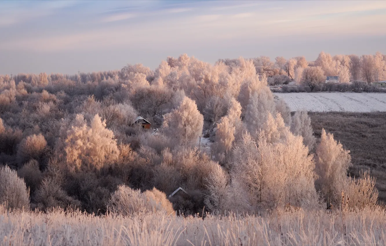 Photo wallpaper winter, frost, field, trees, landscape, nature, home, the bushes