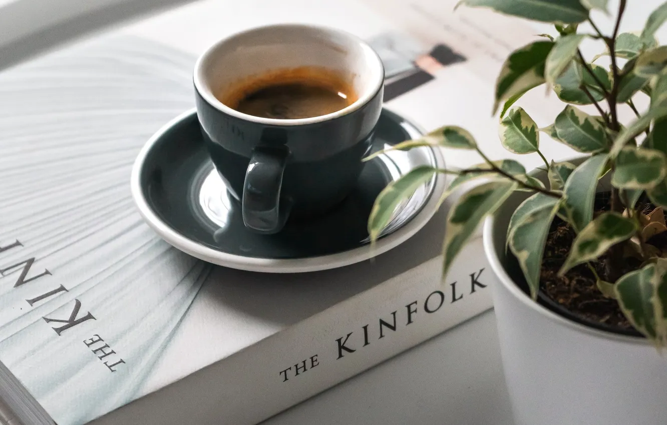 Photo wallpaper plant, coffee, Cup, book