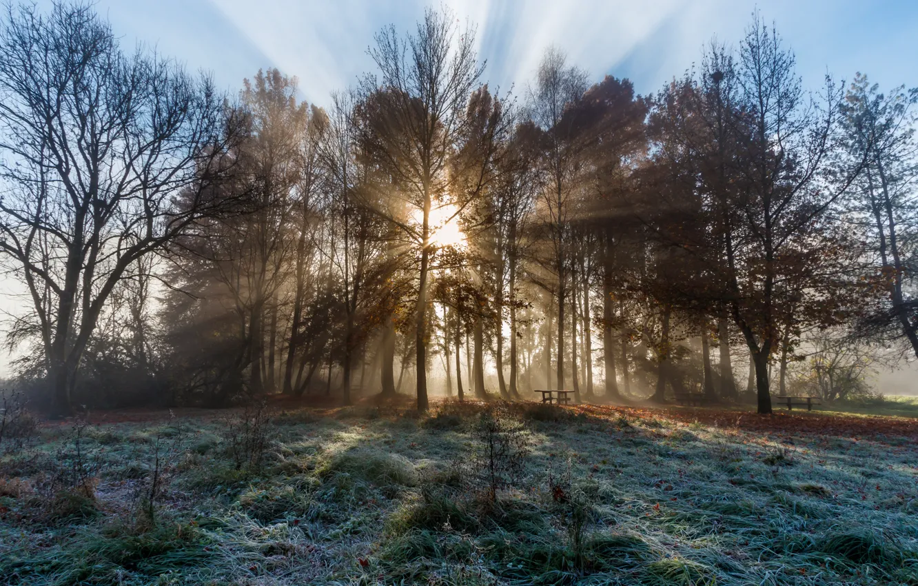 Photo wallpaper autumn, France, morning, Frozen, Savoie