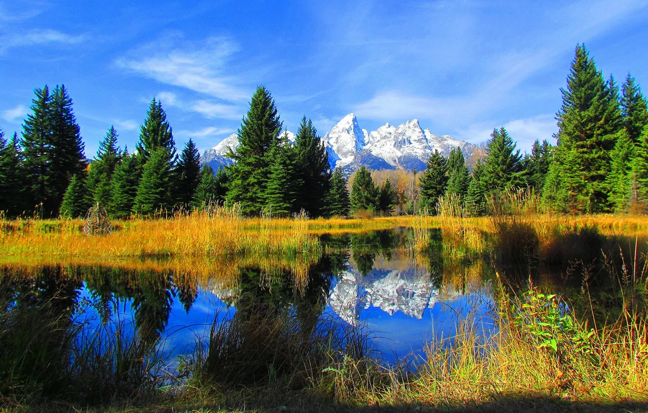 Photo wallpaper autumn, the sky, trees, mountains, lake, spruce, Wyoming, USA
