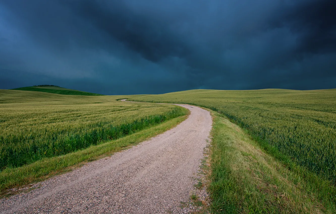Photo wallpaper road, field, the sky, grass, Italy, Tuscany, gloomy