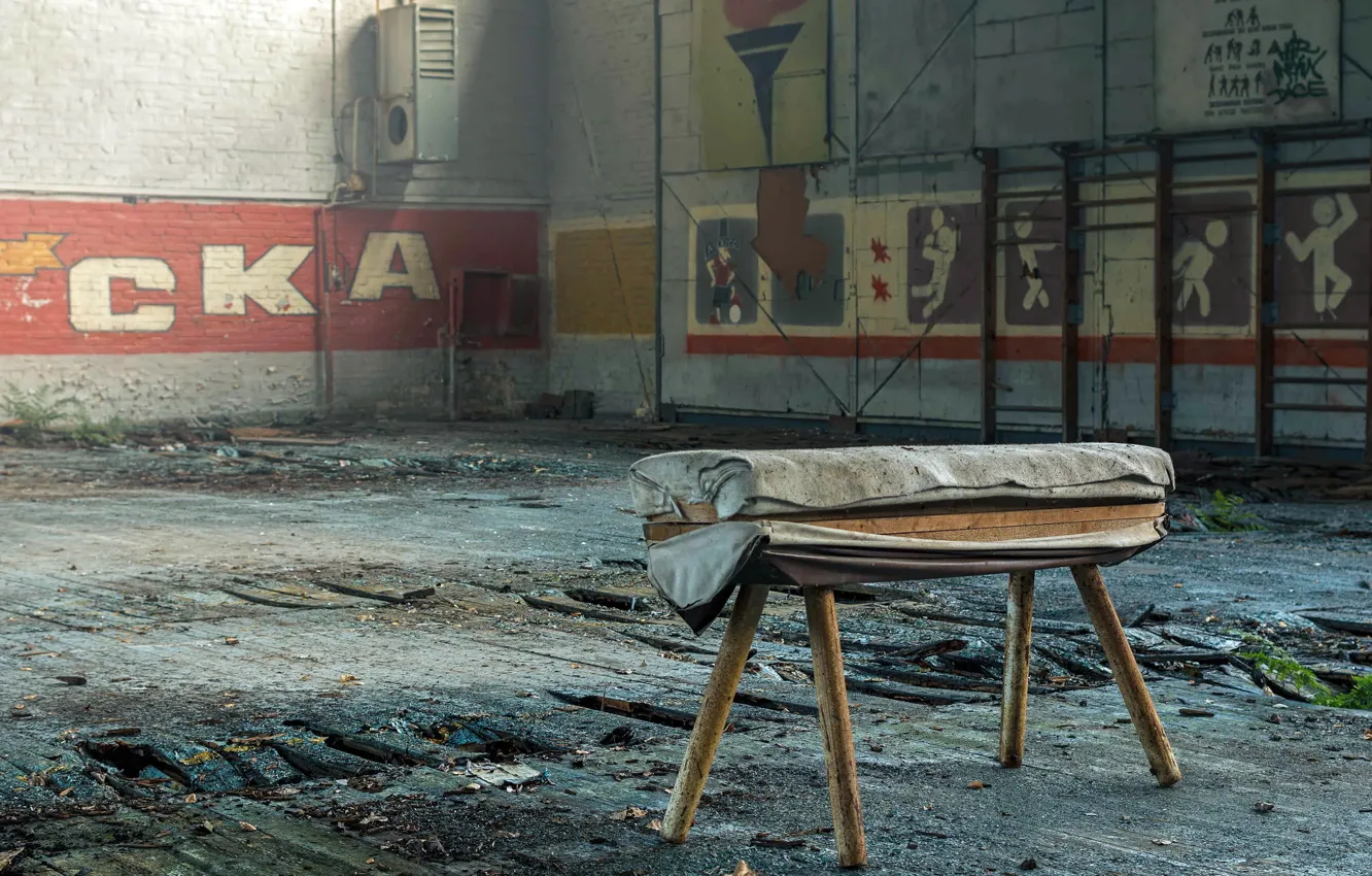 Photo wallpaper horse, sport, hall