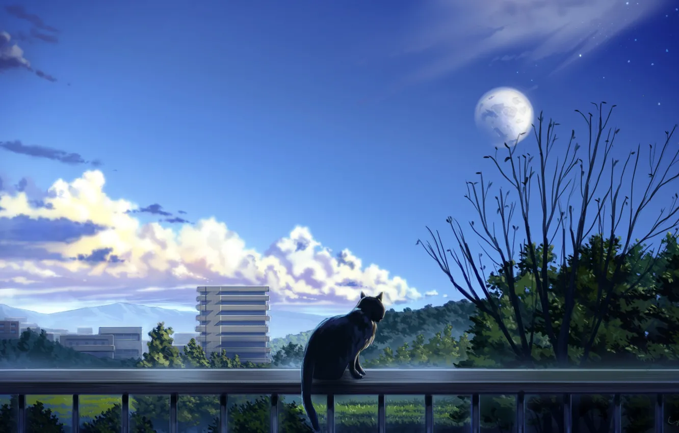 Photo wallpaper cat, trees, the city, balcony