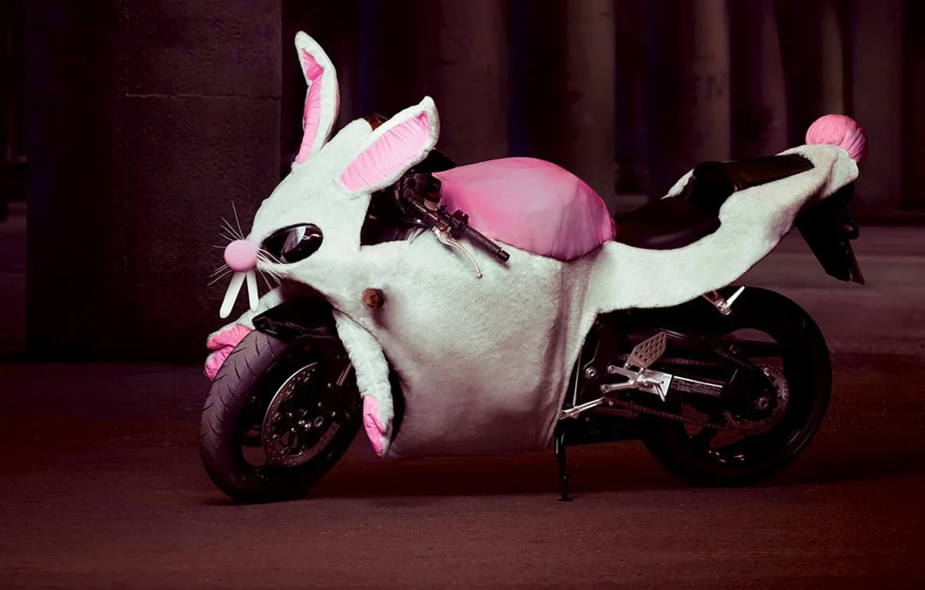 Photo wallpaper humor, rabbit, motorcycle, Costume