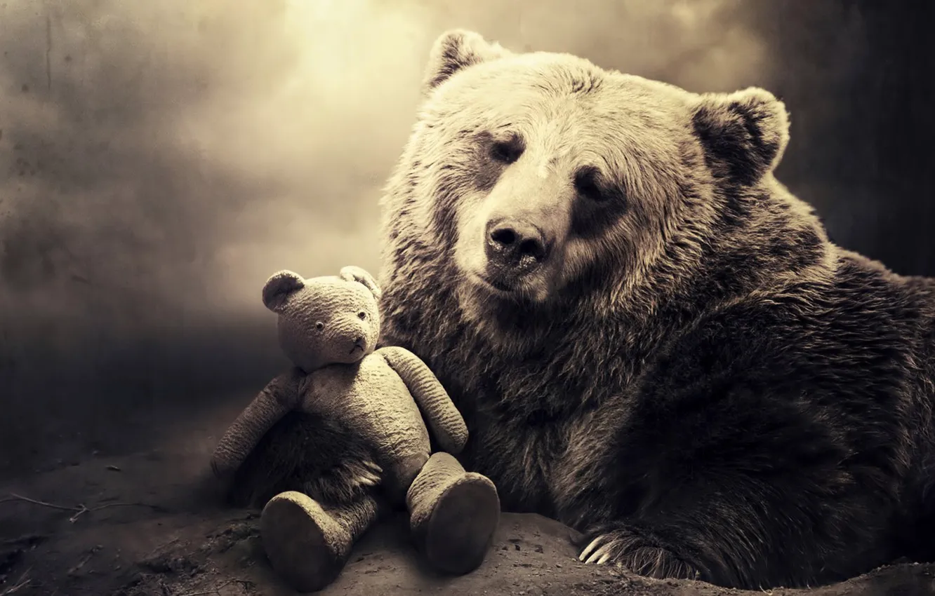 Photo wallpaper sadness, look, branches, earth, toy, bear