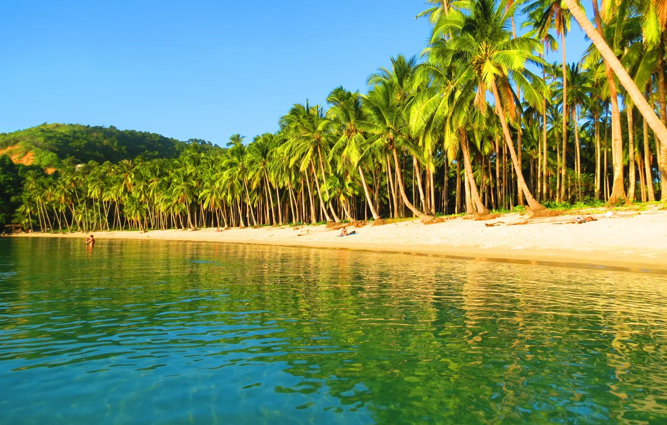 Photo wallpaper beach, palm trees, the ocean, Philippines, The Nest