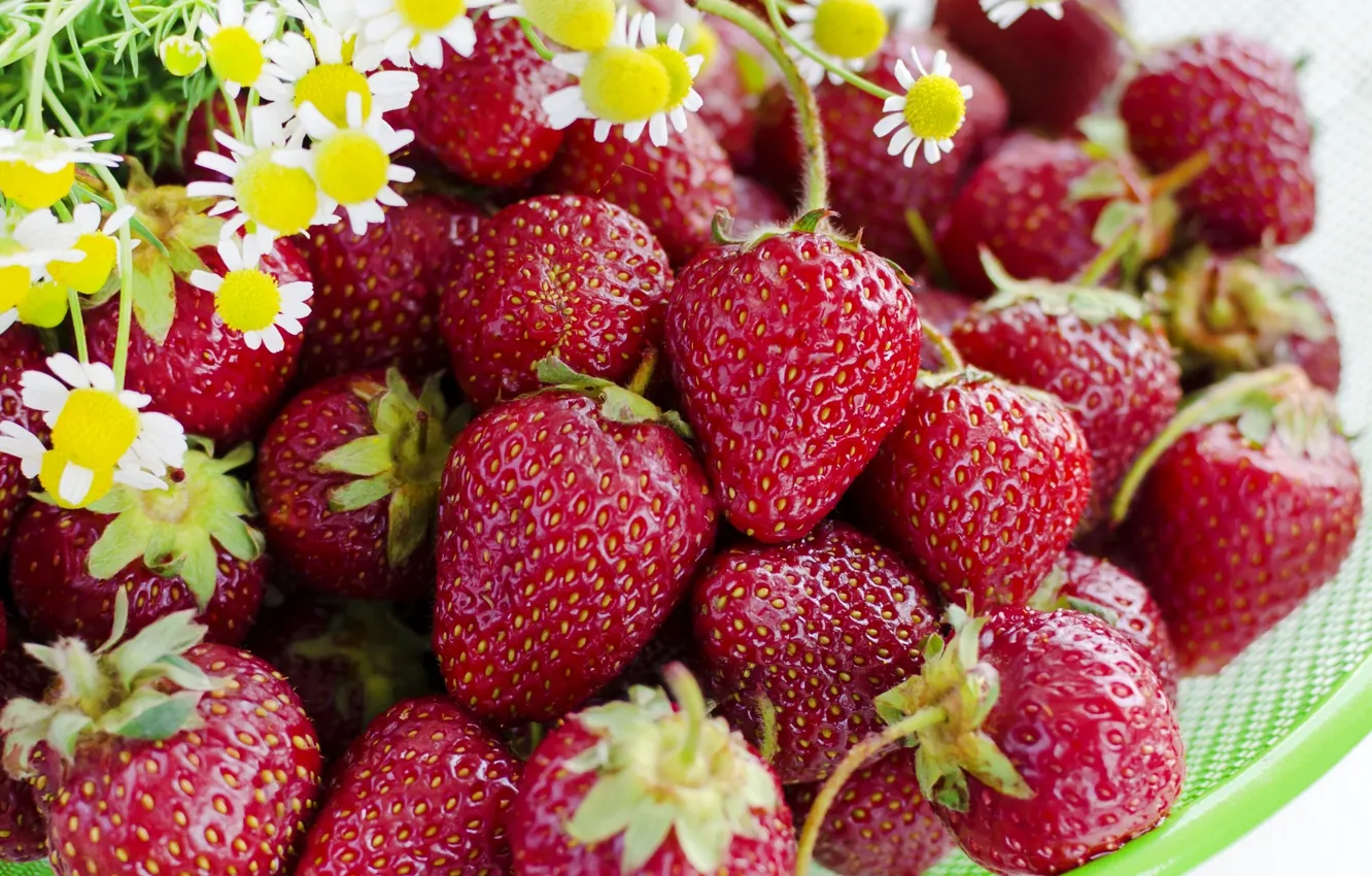 Photo wallpaper flowers, berries, chamomile, strawberry