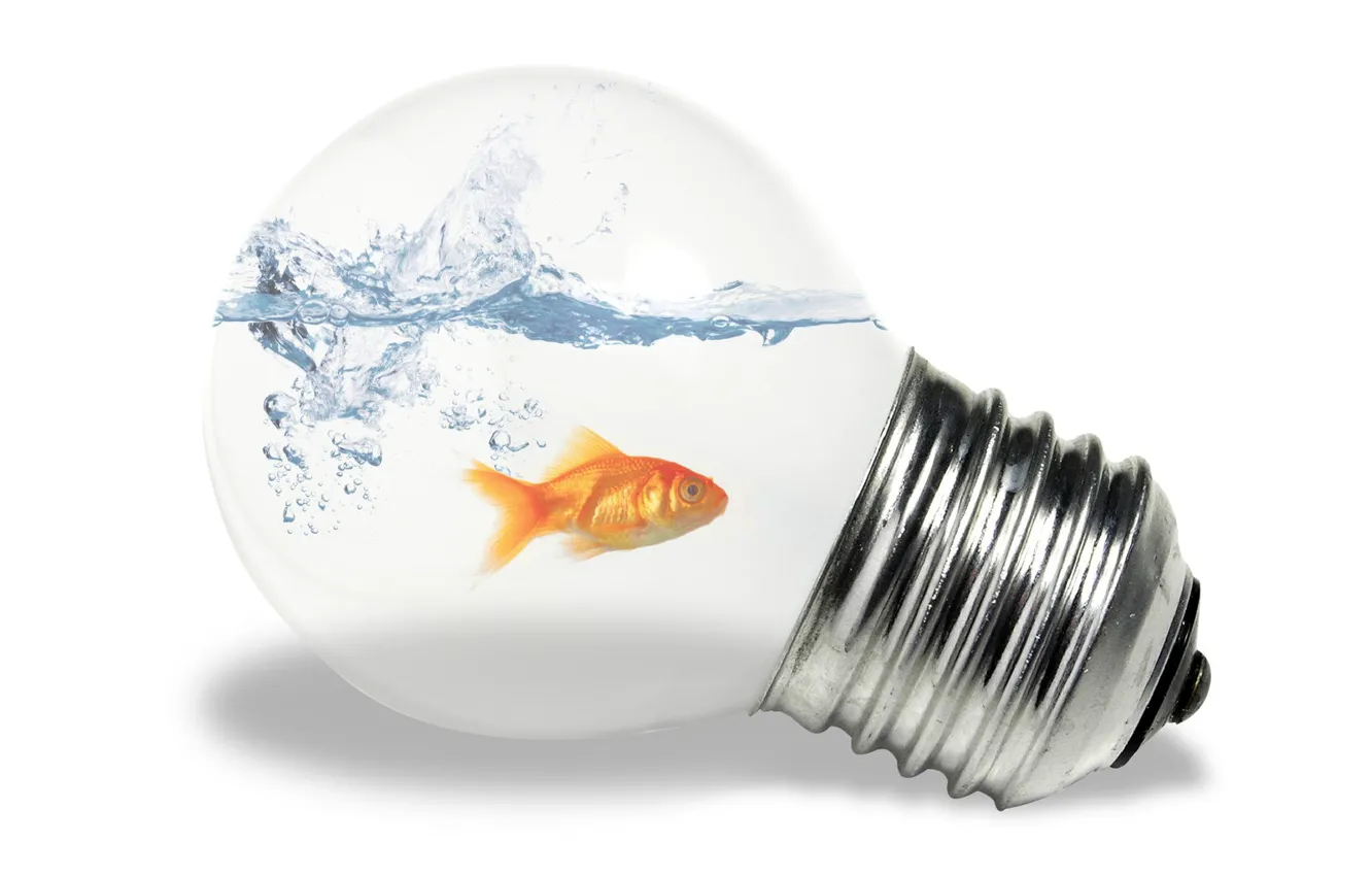 Photo wallpaper white, light bulb, water, fish